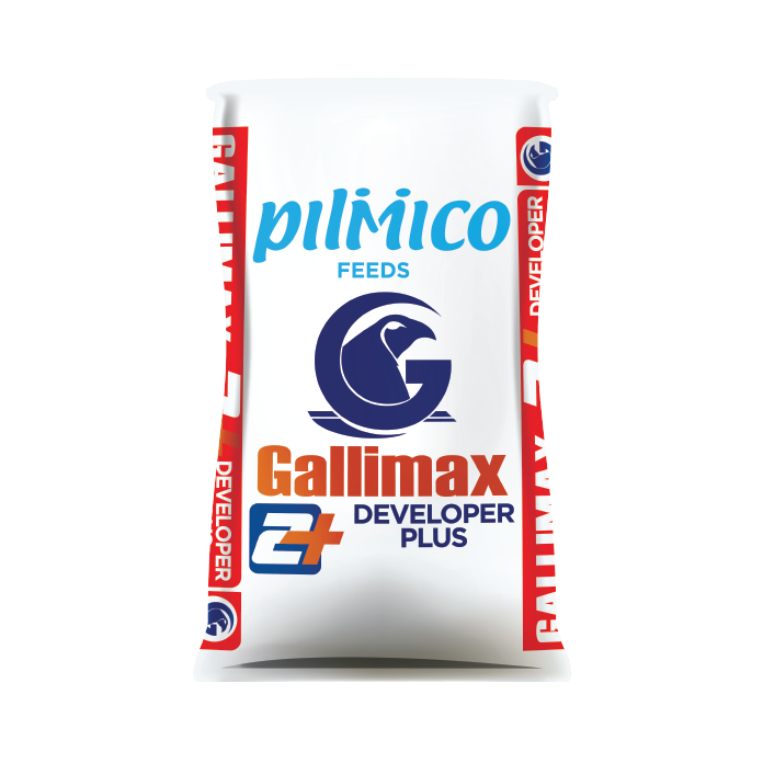 Gallimax 2+ Developer Plus Red Gallimax 2+ Developer Plus Red