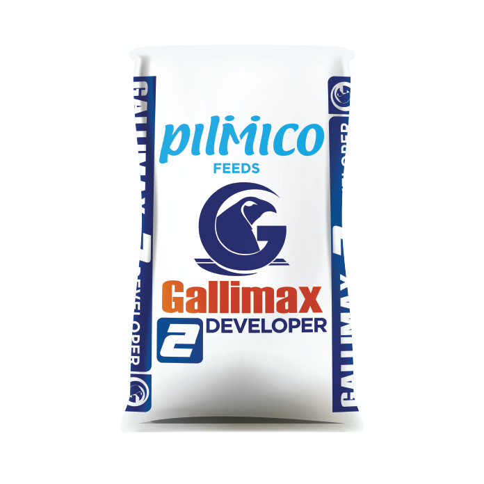 Gallimax 2 Developer Gallimax 2 Developer
