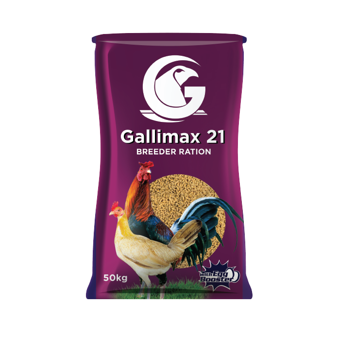 Gallimax 21 Breeder Ration