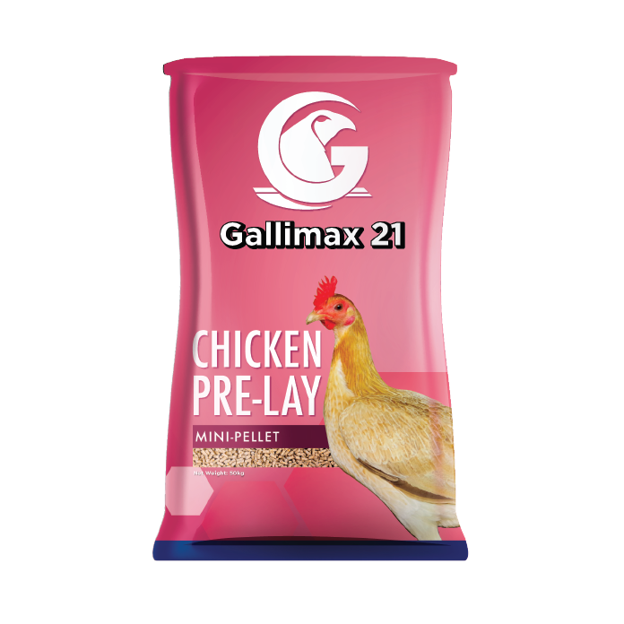 Gallimax 21 Chicken Pre-lay