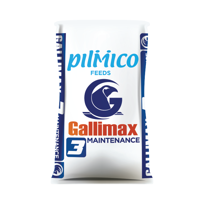 Gallimax 3 Maintenance Gallimax 3 Maintenance