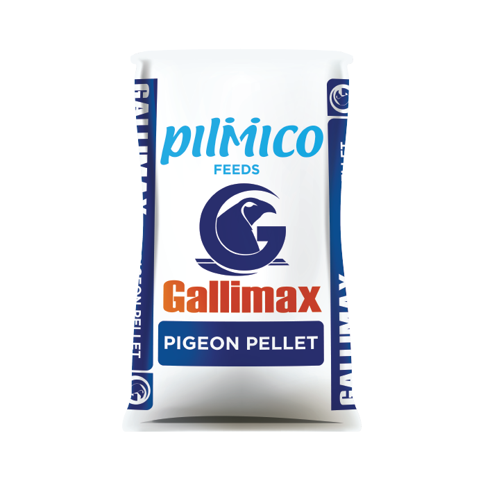 Gallimax Pigeon Pellet