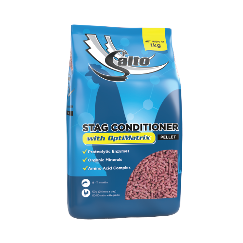 Salto Stag Conditioner