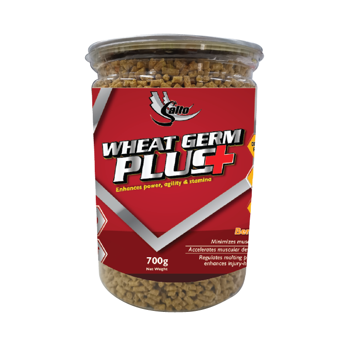 Salto Wheat Germ Plus+