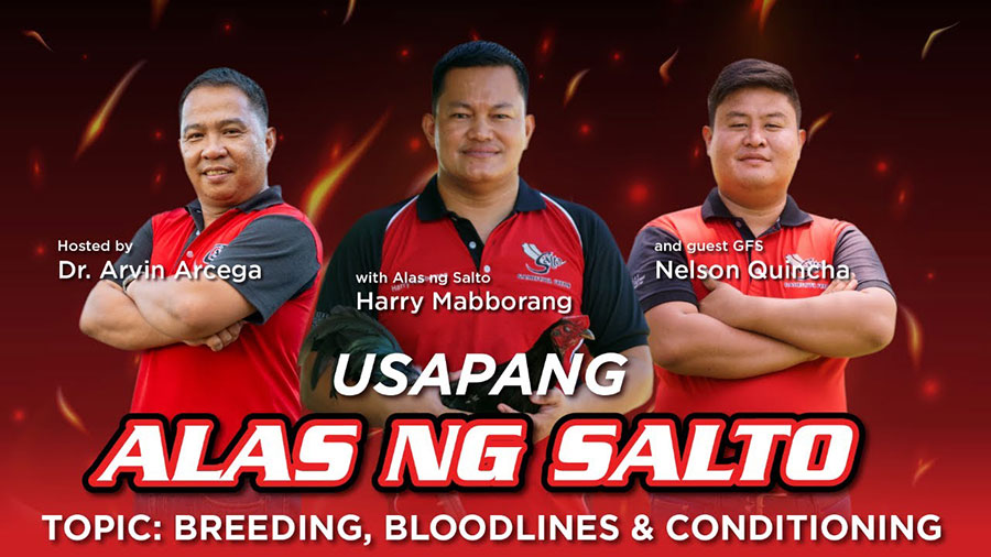 Usapang Alas ng Salto: Harry Mabborang