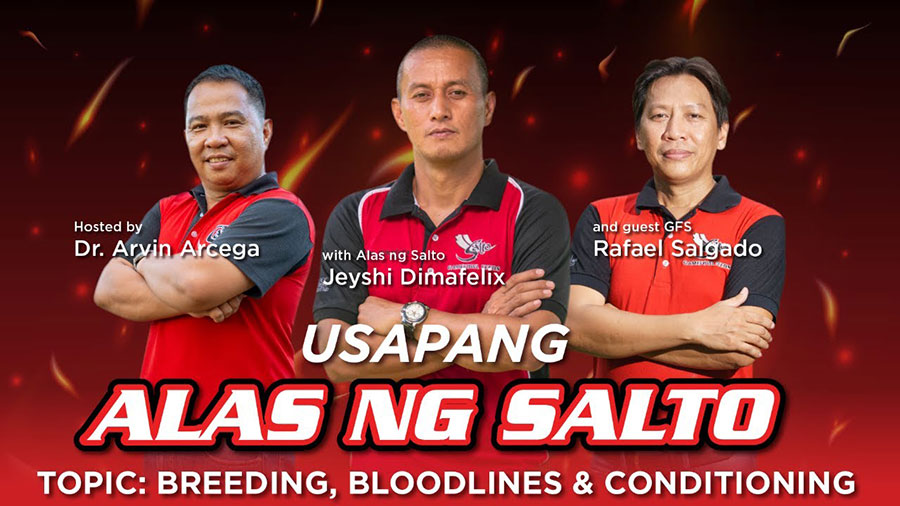 Usapang Alas ng Salto: Jeyshi Dimafelix