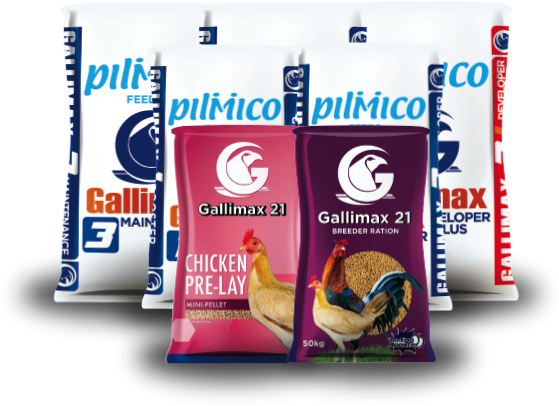 Salto Gallimax Products