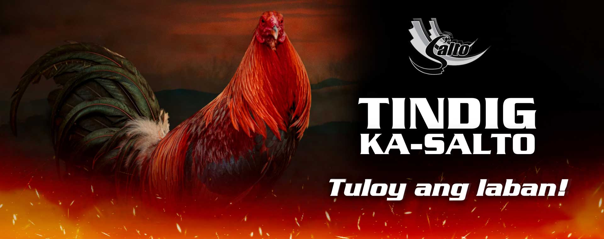 Tindig Salto!