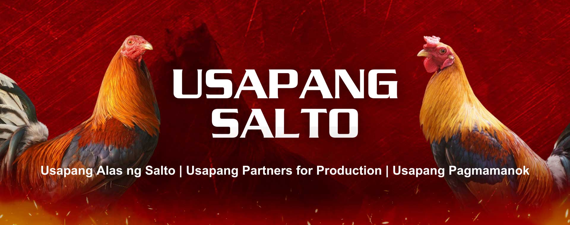 Usapang Salto!