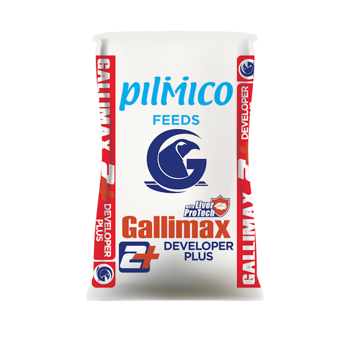 Gallimax 2+ Developer Red