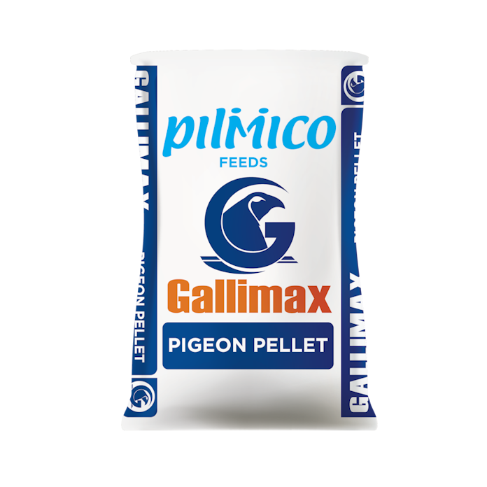 Gallimax Pigeon Pellet