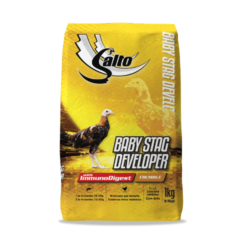 Baby Stag Developer