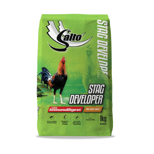 Salto Stag Developer